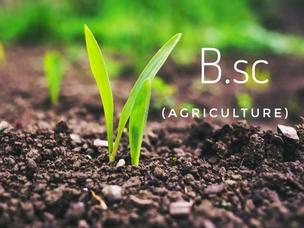 B Sc Aagriculture Telegram Channel