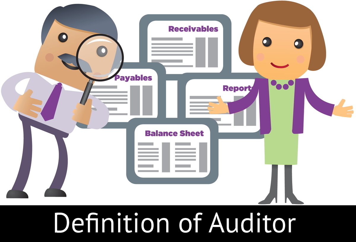 auditor-definition-qualities-types