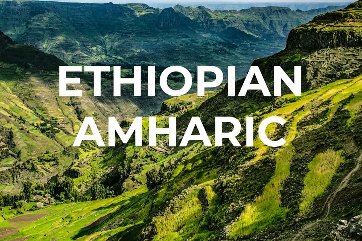 Amharic Whatsapp Group Link Join 2023