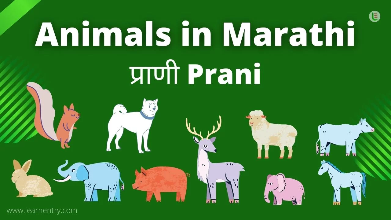 Marathi Animals Whatsapp Group Link Join 2023