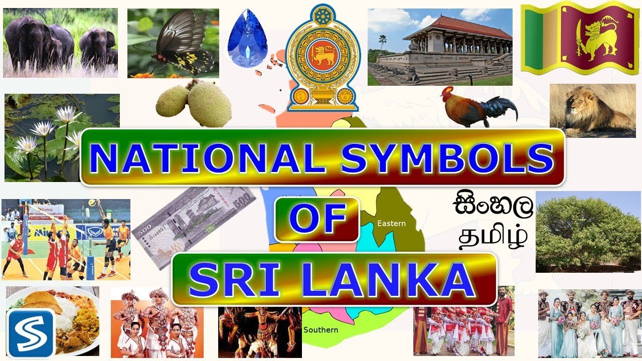 Sri Lanka Tamil Animals Whatsapp Group Link Join 2023