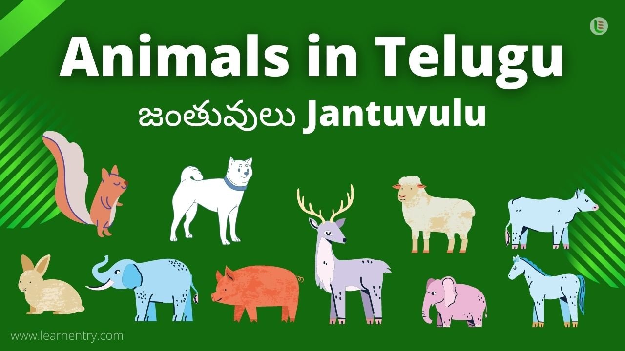 Telugu Animals Whatsapp Group Link Join 2023